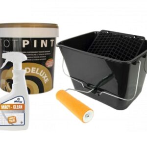 LOTE ANTIMOHO PAREDES Y TECHOS- limpieza y pintura